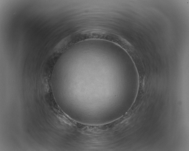 X0000083560774200702091124