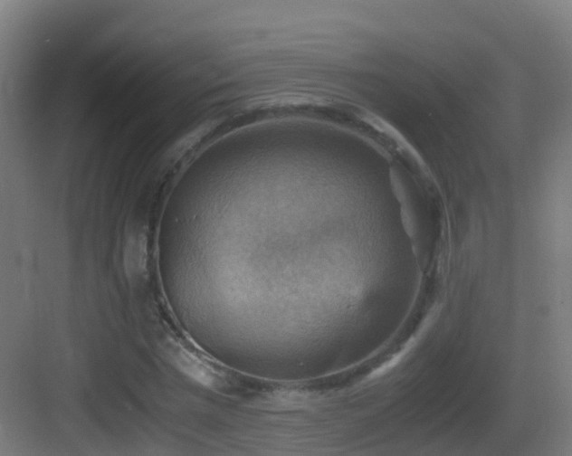 X0000083560777200702091124