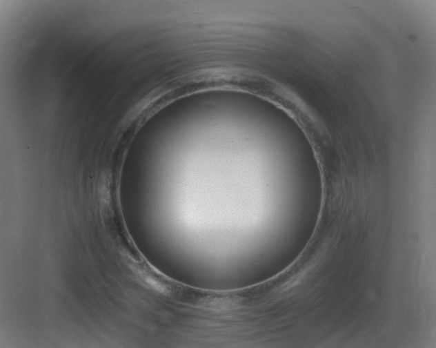 X0000083560778200702091124