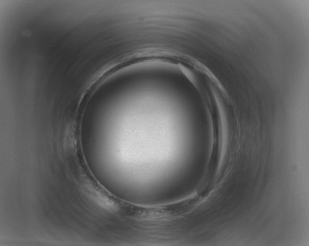 X0000083560786200702091123