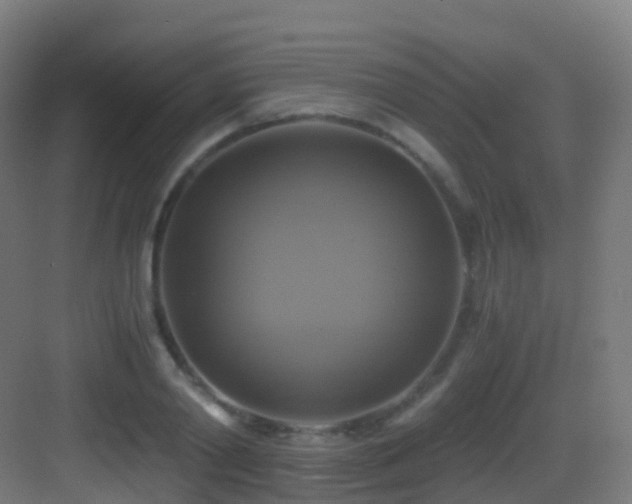 X0000083560790200702091123