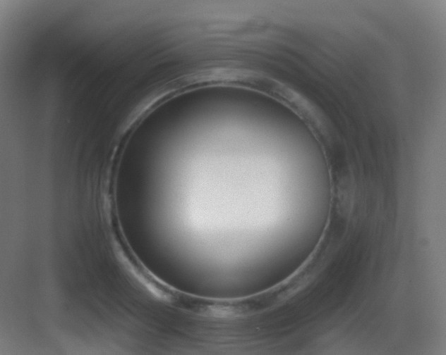 X0000083560794200702091123