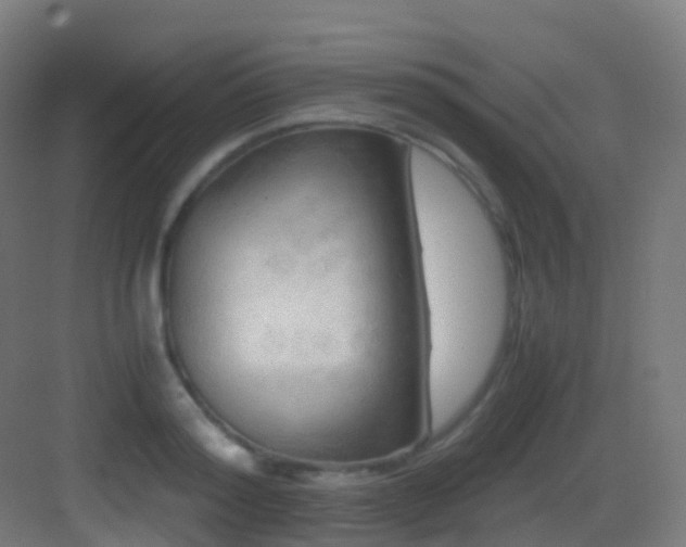 X0000083560796200702091123