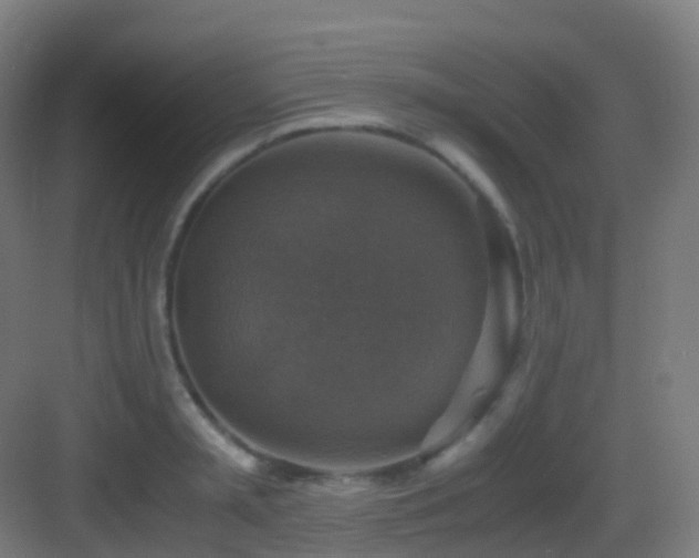 X0000083560797200702091123