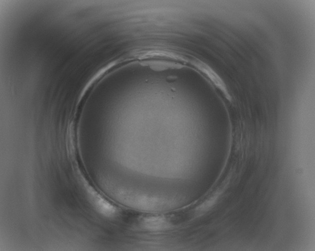 X0000083560798200702091123