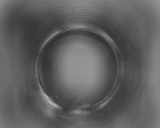 X0000083560806200702091123