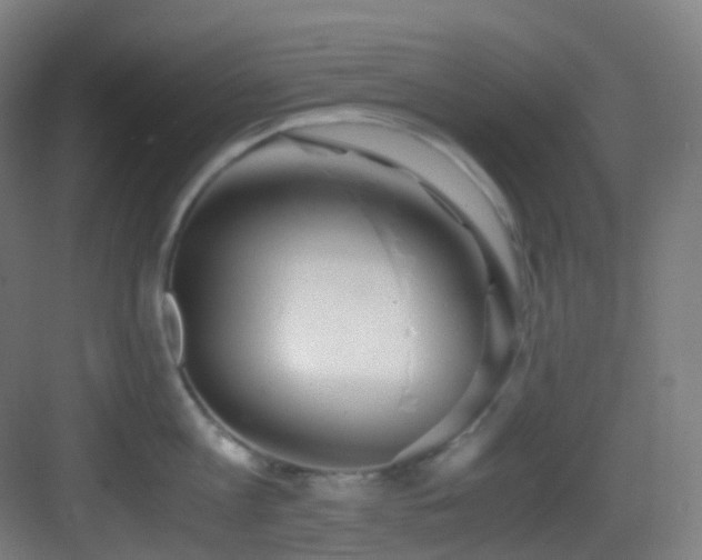 X0000083560813200702091123