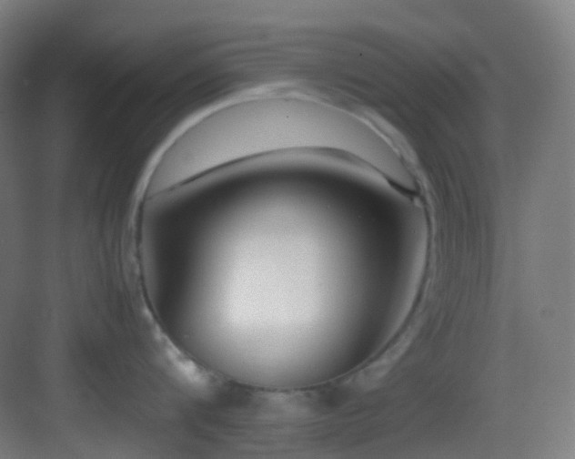 X0000083560816200702091123