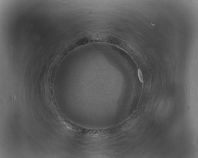 X0000083560817200702091122