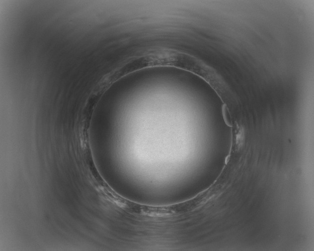 X0000083560819200702091122