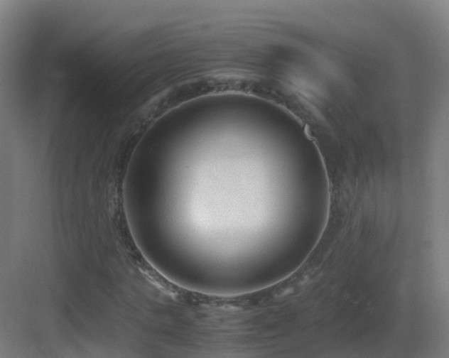 X0000083560821200702091122