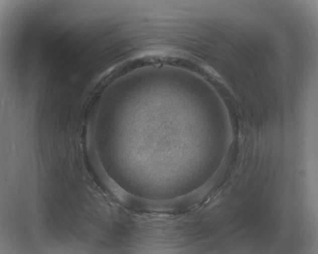 X0000083560822200702091122