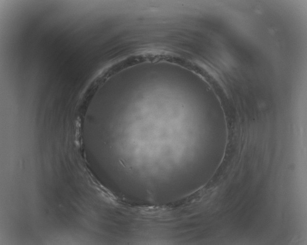 X0000083560823200702091122