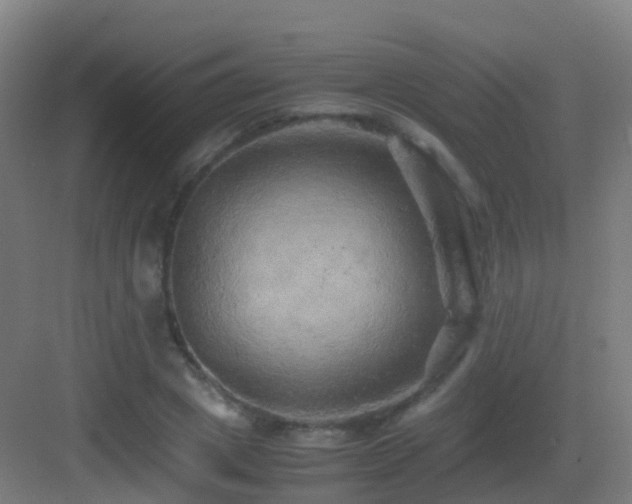 X0000083560833200702091122