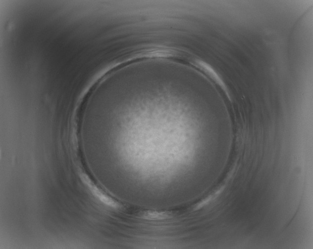 X0000083560835200702091122