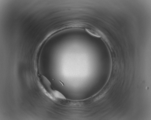 X0000083560843200702091123