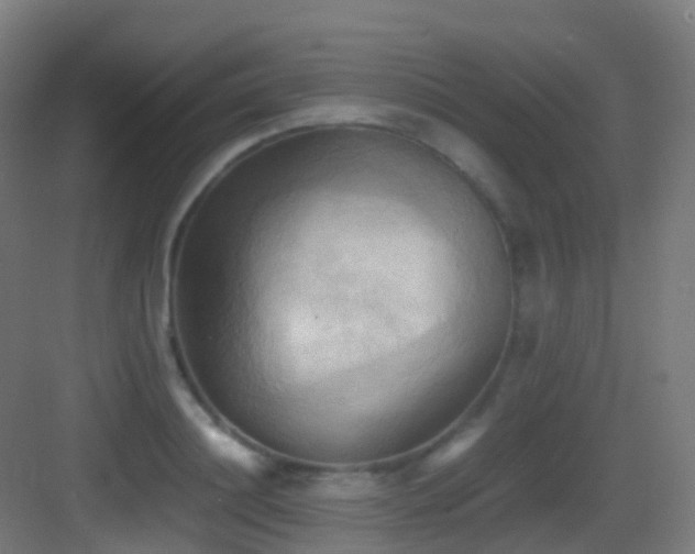 X0000083560844200702091123