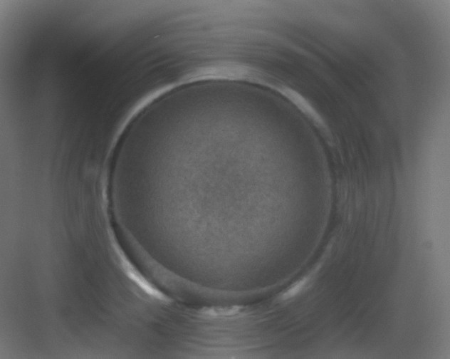 X0000083560846200702091123