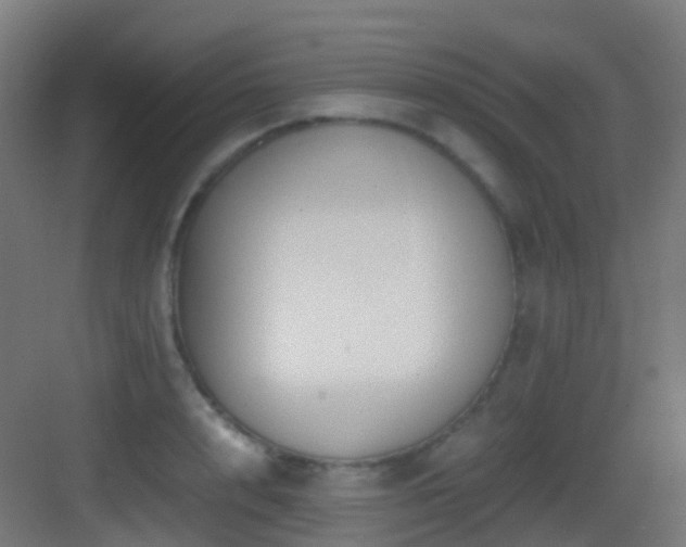 X0000083560848200702091123