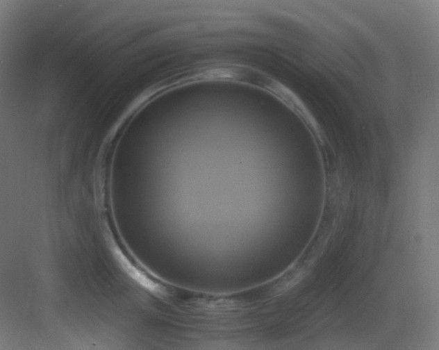 X0000083560851200702091123