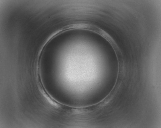 X0000083560852200702091123