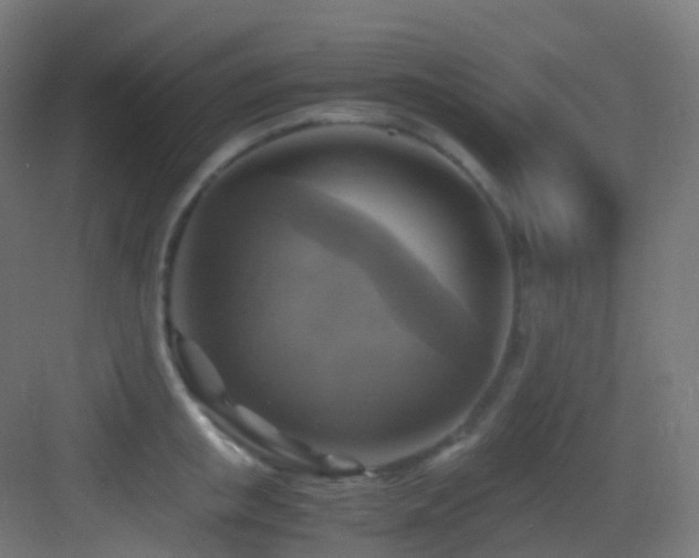 X0000083560853200702091123