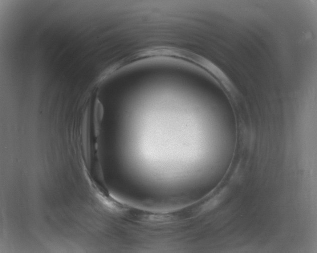 X0000083560857200702091123