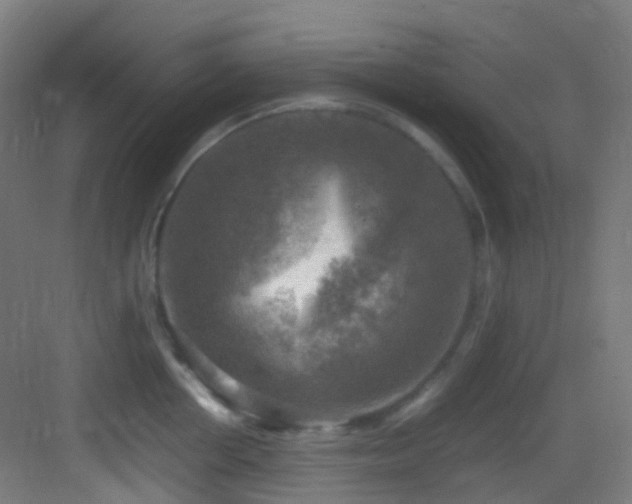 X0000083560858200702091123