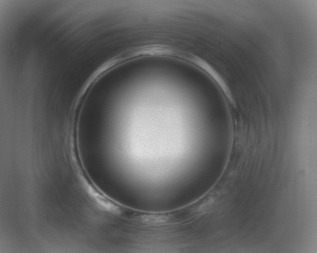 X0000083560861200702091123
