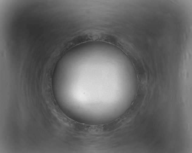 X0000083560865200702091122