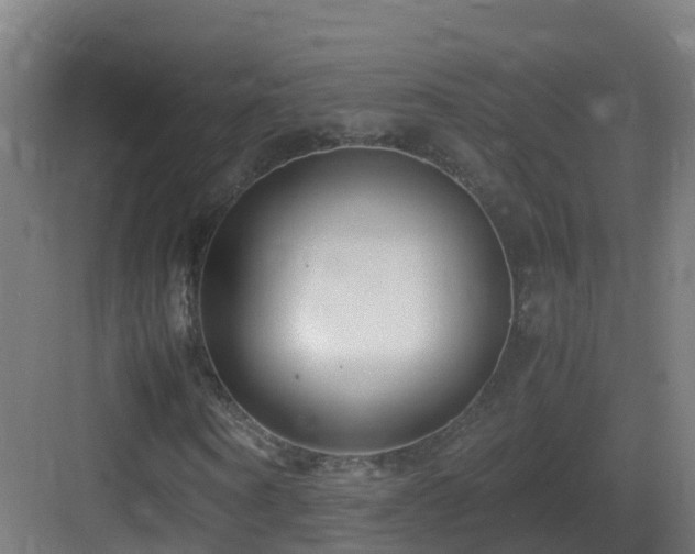 X0000083560866200702091122