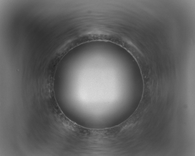 X0000083560870200702091122