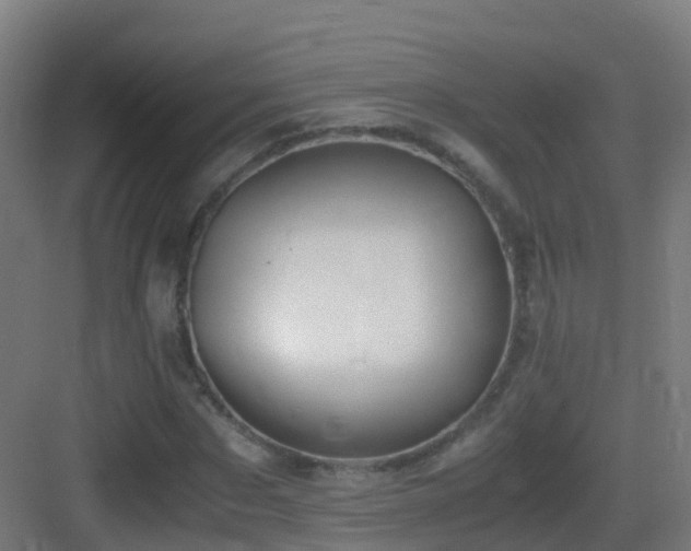 X0000083560873200702091122