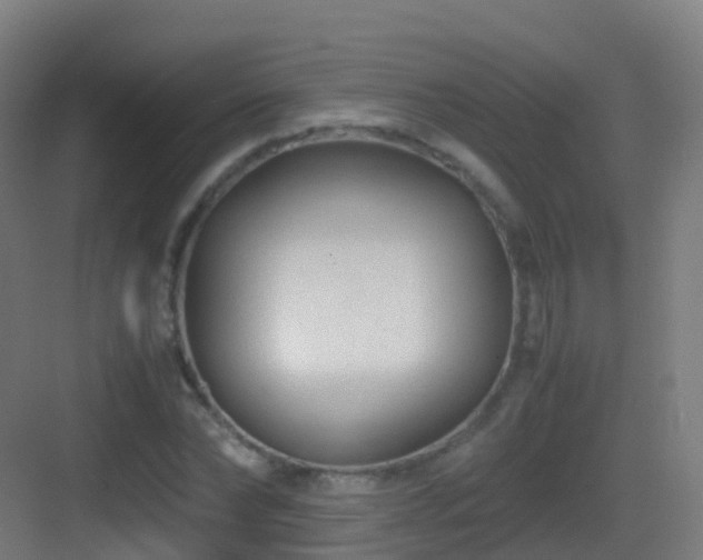 X0000083560878200702091122