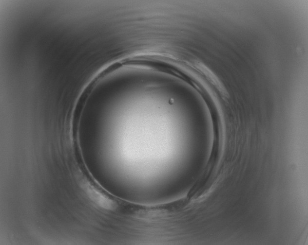 X0000083560884200702091122