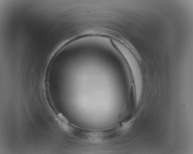 X0000083560893200702091121
