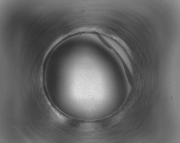 X0000083560894200702091121