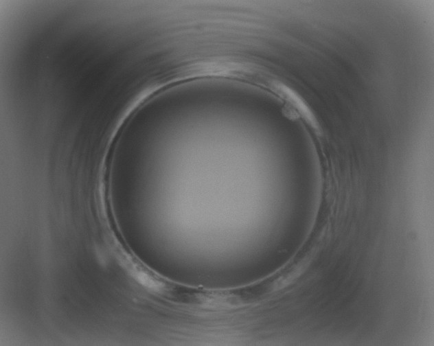 X0000083560899200702091121