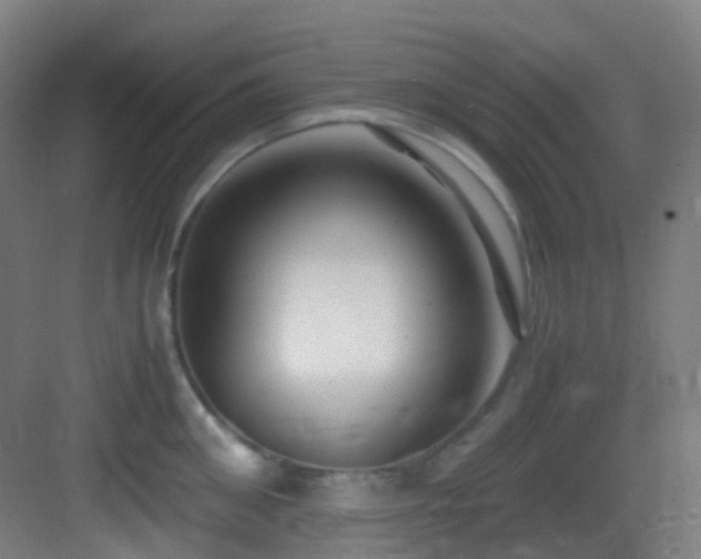 X0000083560906200702091121