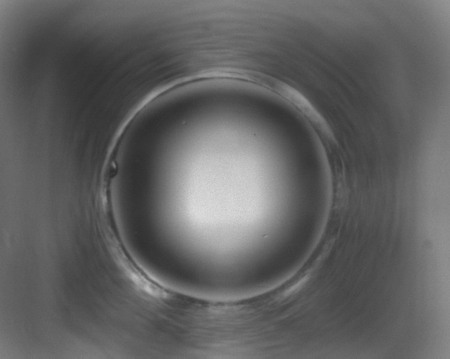 X0000083560908200702091121