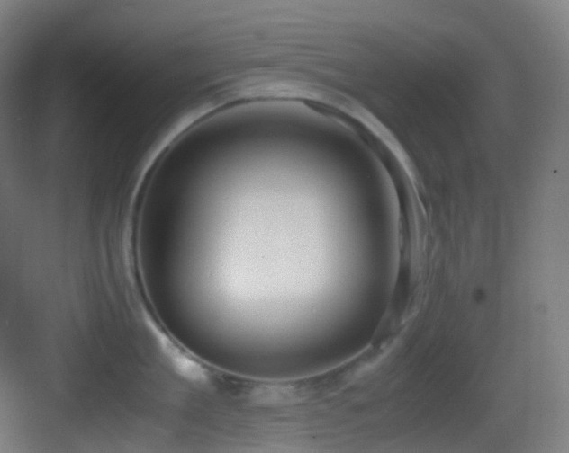 X0000083560909200702091121