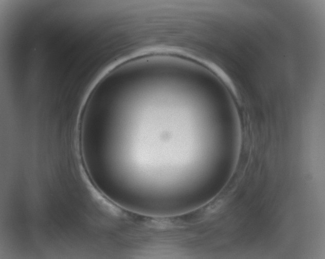 X0000083560911200702091121