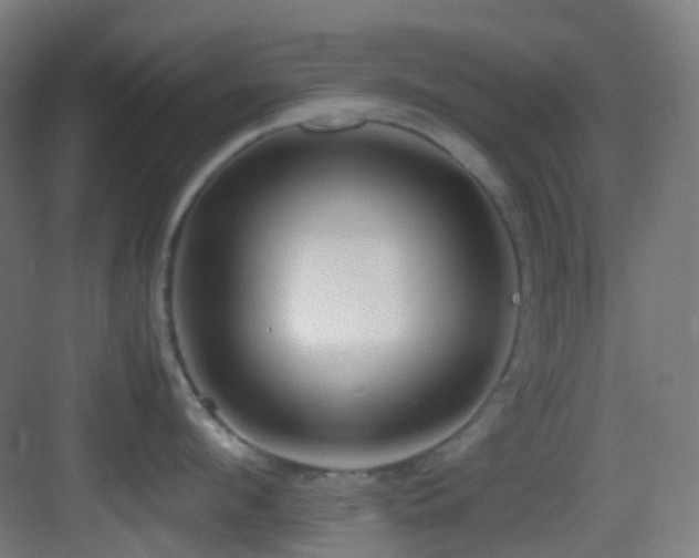 X0000083560912200702091121