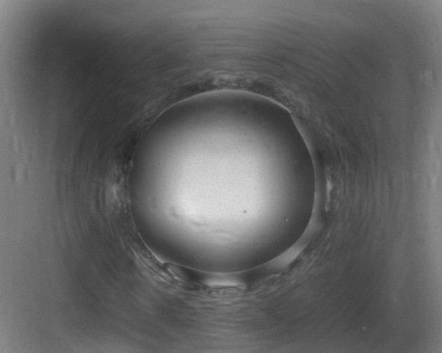 X0000083560914200702091120