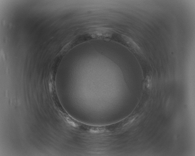 X0000083560915200702091120