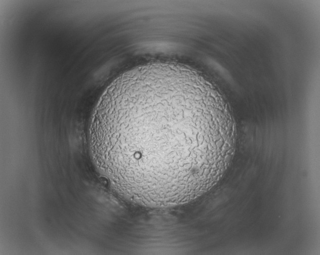 X0000083560918200702091120