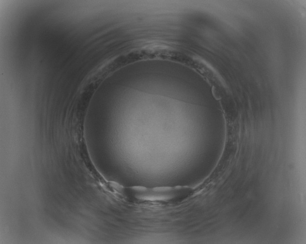 X0000083560919200702091120