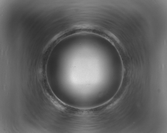 X0000083560922200702091120