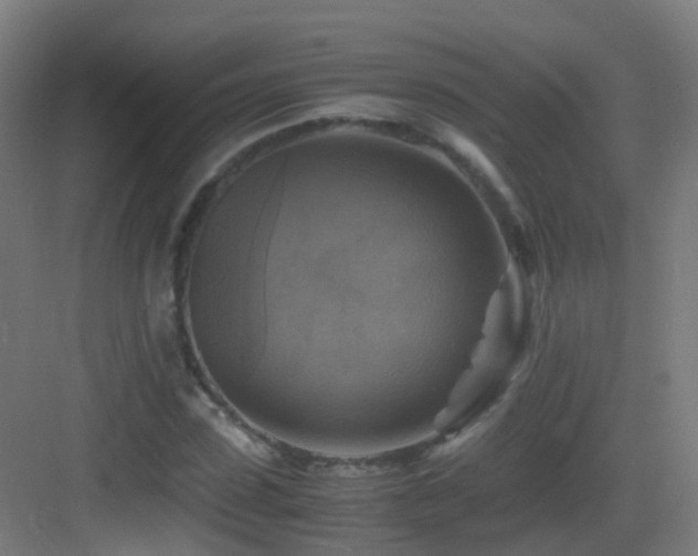 X0000083560923200702091120