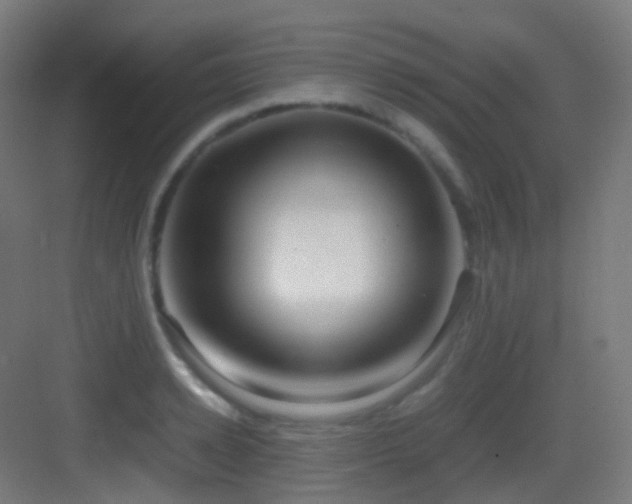 X0000083560942200702091121